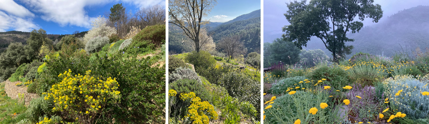 jardin en Cévennes ardéchoises